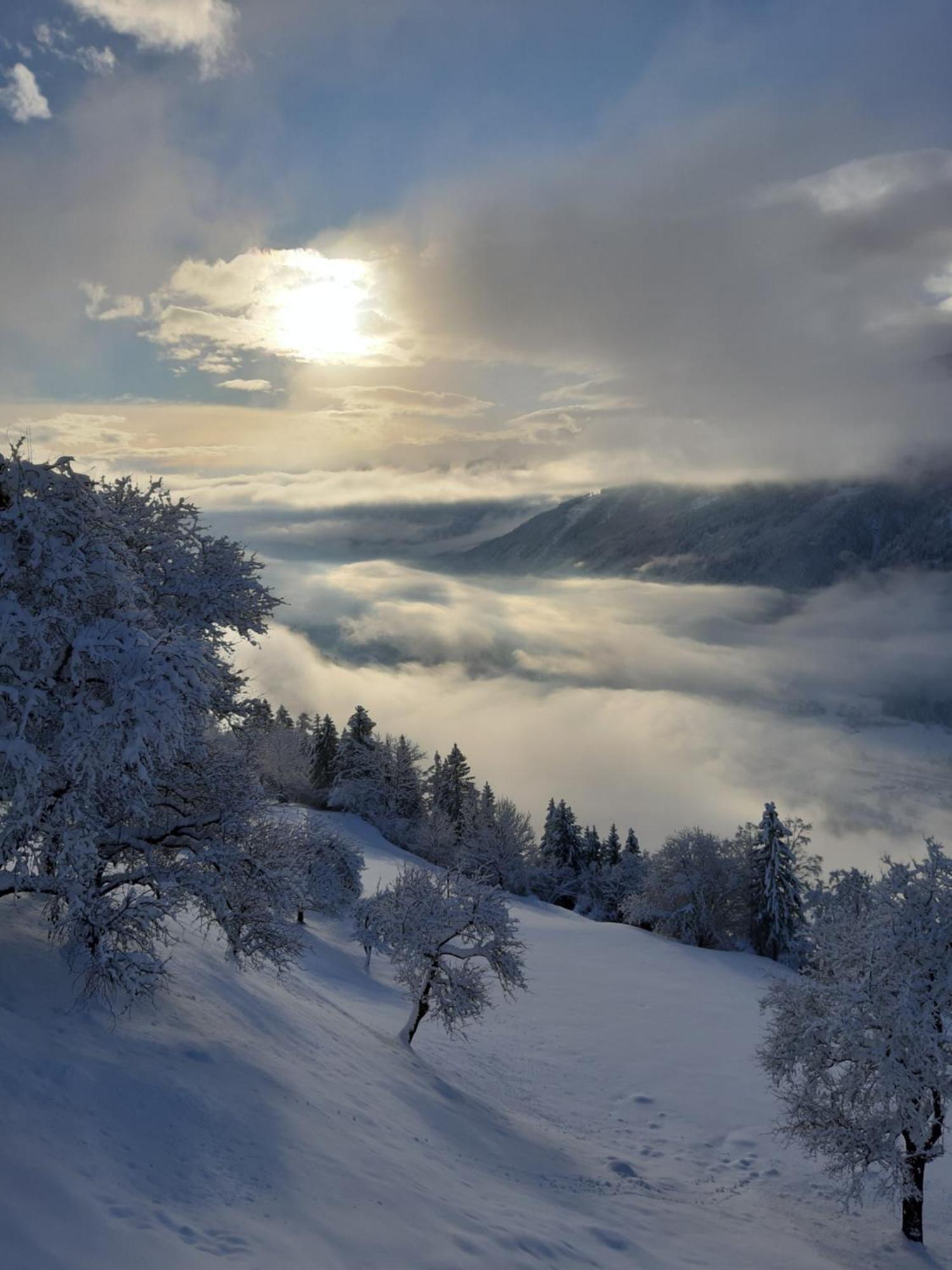 Panoramapension Platzer Unterkolbnitz Екстериор снимка
